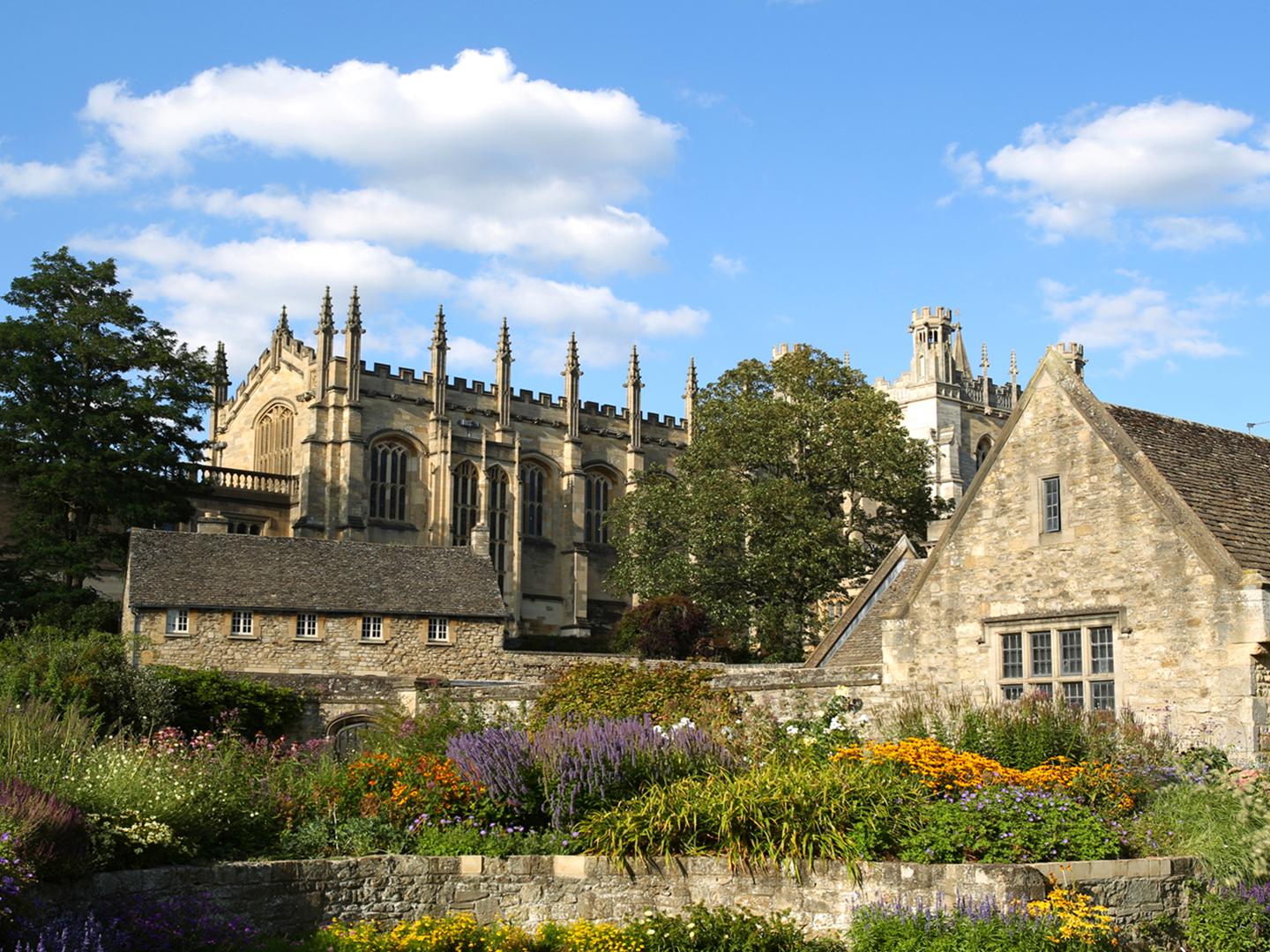 dreaming spires global essay competition